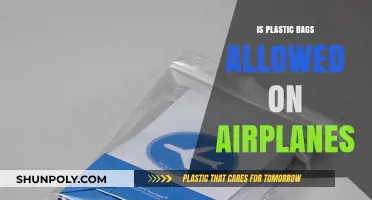 Can You Bring Plastic Bags on Airplanes? TSA Rules Explained