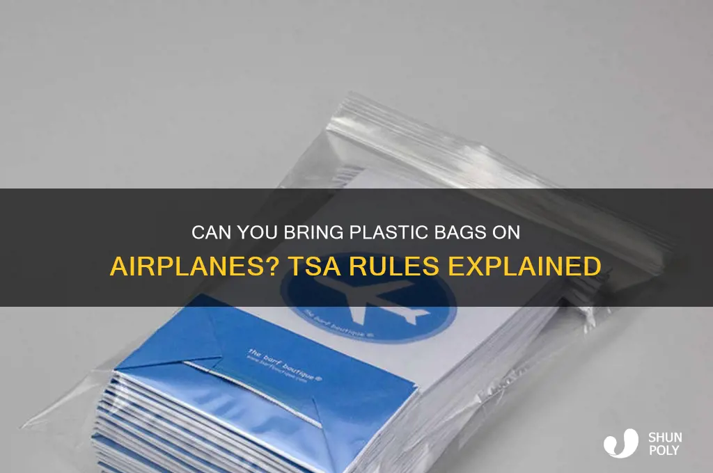 is plastic bags allowed on airplanes
