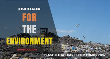 Are Plastic Bags Harming Our Planet? Environmental Impact Explained