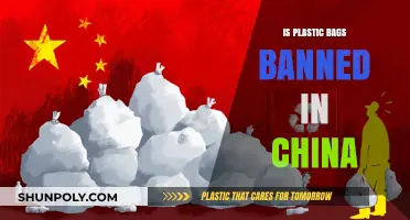 China's Plastic Bag Ban: Impact, Enforcement, and Environmental Outcomes