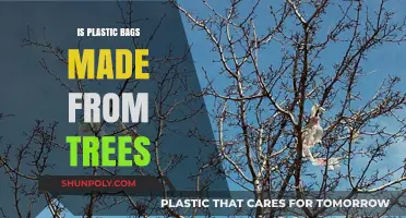 Are Plastic Bags Made from Trees? Unraveling the Environmental Myth