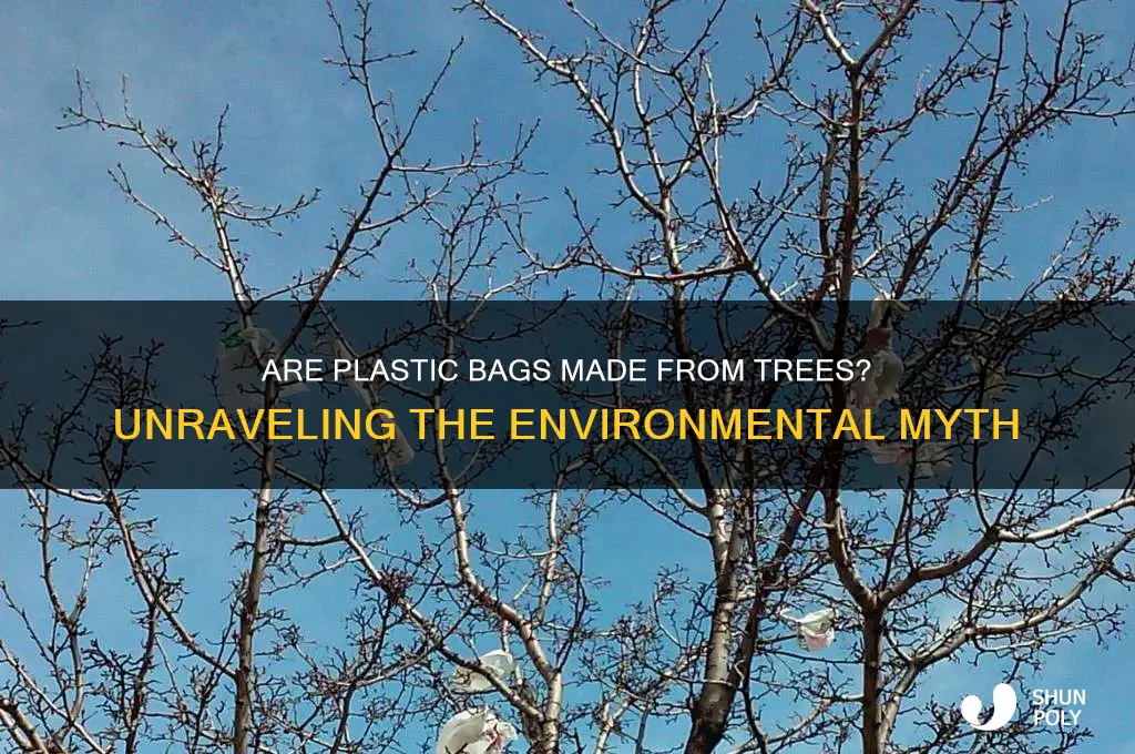 is plastic bags made from trees