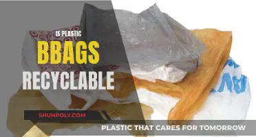 Plastic Bags: Are They Really Recyclable?