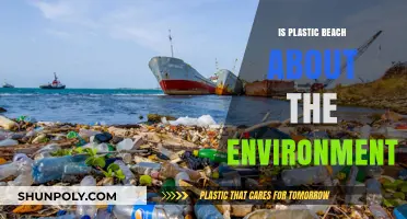 Plastic Beach: Gorillaz's Environmental Wake-Up Call