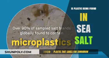 Plastic in Sea Salt: A Troubling Discovery
