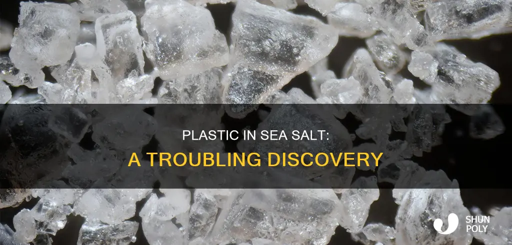 is plastic being found in sea salt