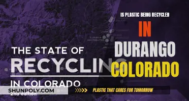 Recycling in Durango: Plastic's Fate