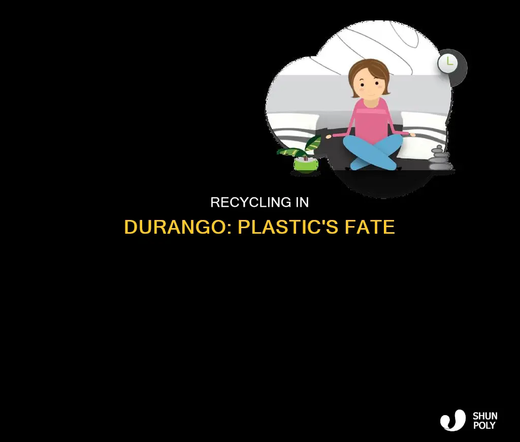 is plastic being recycled in durango colorado