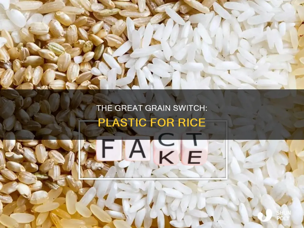 is plastic being substituted for rice