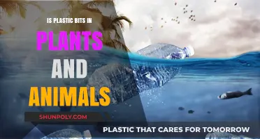 Bits of Plastic: Invading Plants and Animals