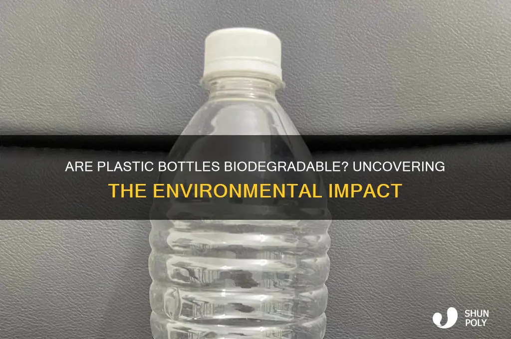 is plastic bottle biodegradable