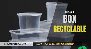 Plastic Boxes: Are They Recyclable?