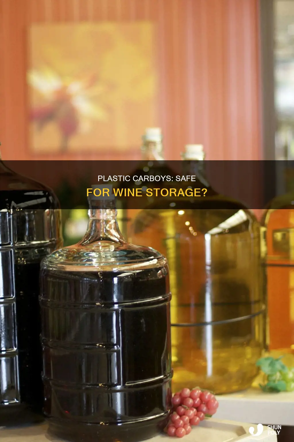 is plastic carboy ok for wine