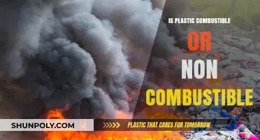 Plastic Combustion: What's the Truth?