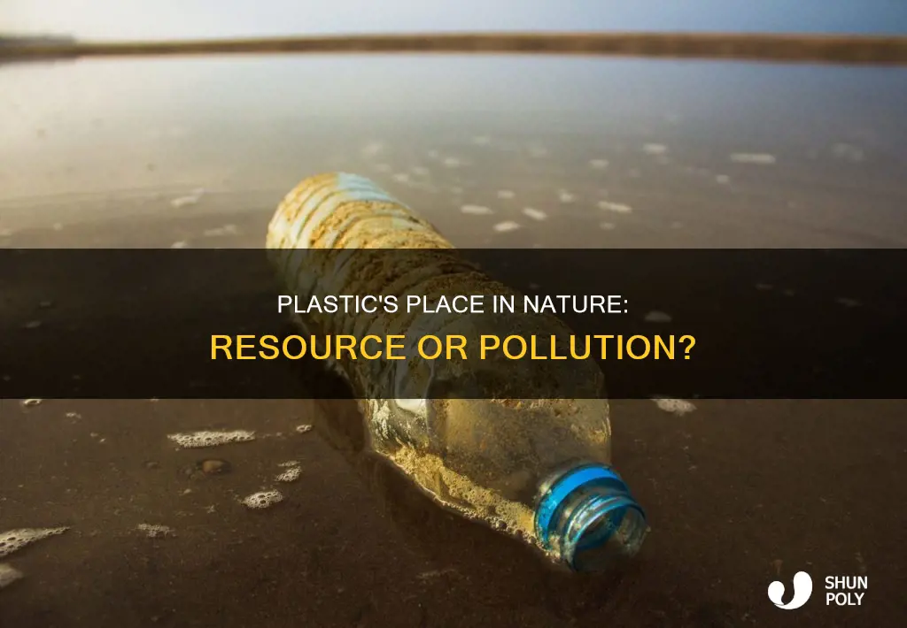is plastic considered a natural resource
