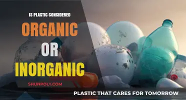 Plastic's Nature: Organic or Inorganic?
