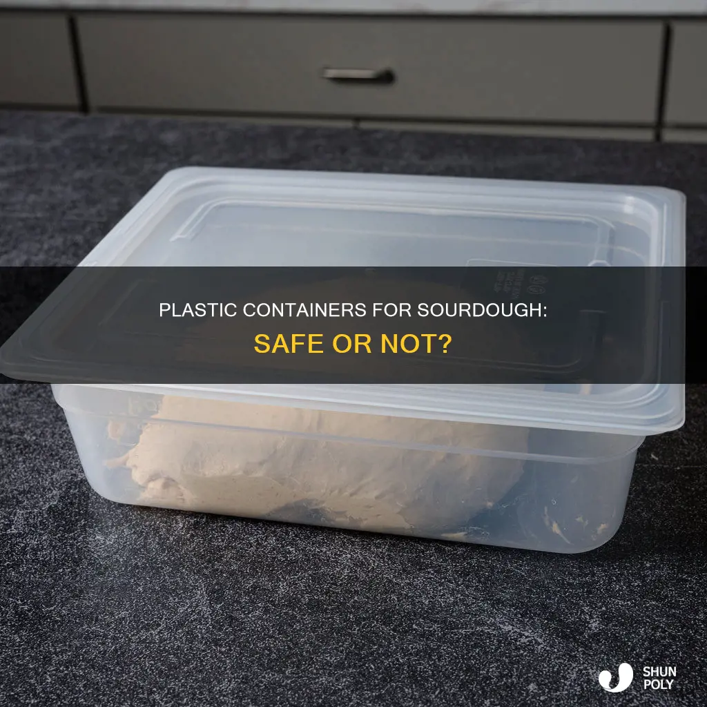 is plastic container ok for sourdough starter