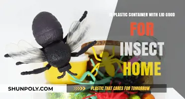 Plastic Containers: The Perfect Insect Home?