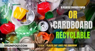 Paper, Cardboard, and Plastic: What's Recyclable?