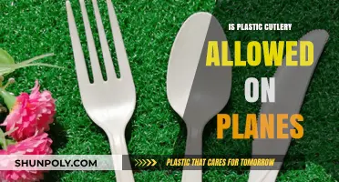 Plastic Cutlery: What's Allowed on Planes?
