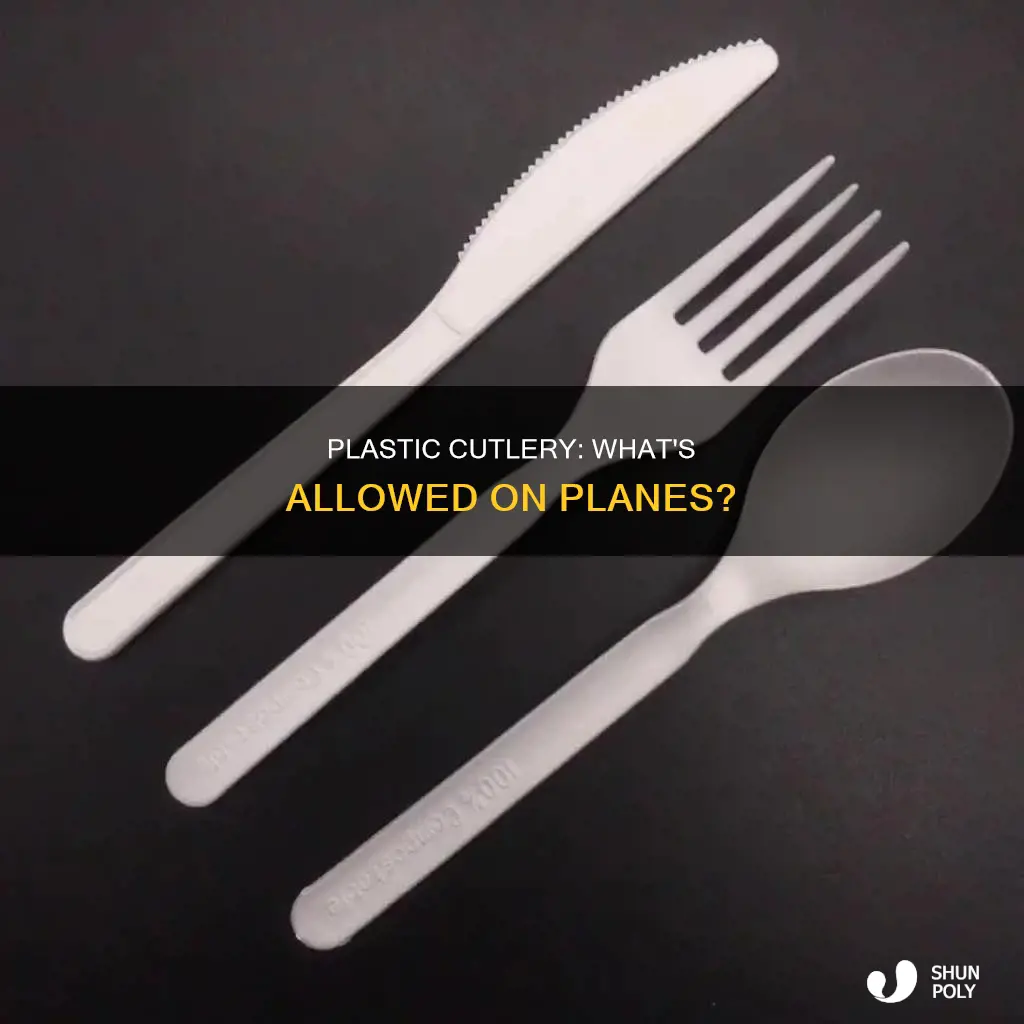 is plastic cutlery allowed on planes