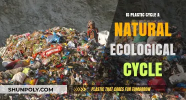 Plastic Cycle: Nature's New Ecological Concern?
