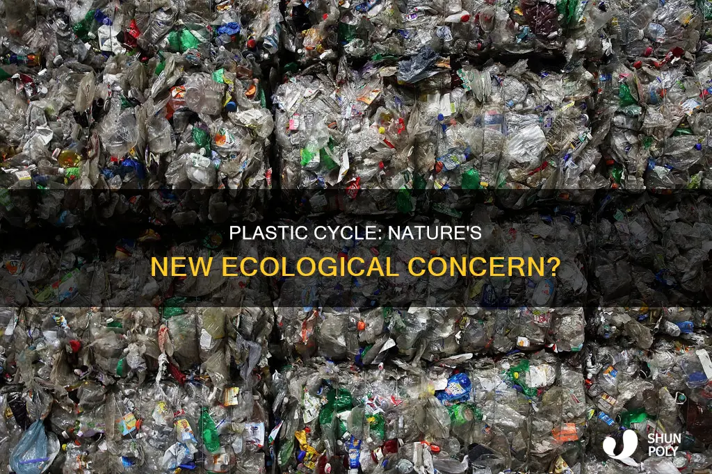 is plastic cycle a natural ecological cycle