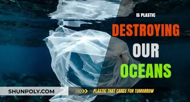 The Silent Crisis: How Plastic Pollution Threatens Our Oceans