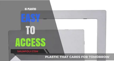 The Ubiquitous Nature of Plastic: Accessibility and Its Implications