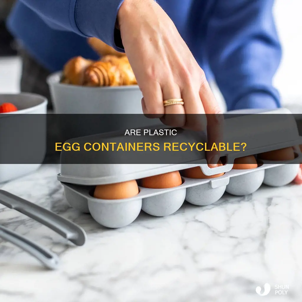 is plastic egg container recycleable