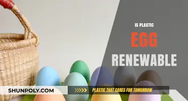 Sustainable Alternatives: Are Plastic Eggs the Future of Eco-Friendly Packaging?