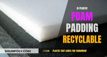 Plastic Foam Padding: Can It Be Recycled?