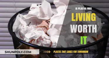 Plastic-Free Living: Is It Worth the Effort?
