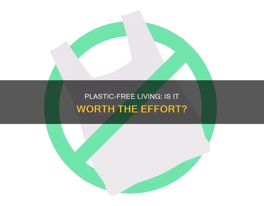 is plastic free living worth it