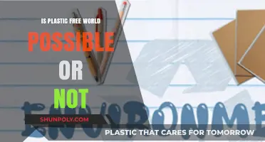 Plastic-Free World: Dream or Reality?