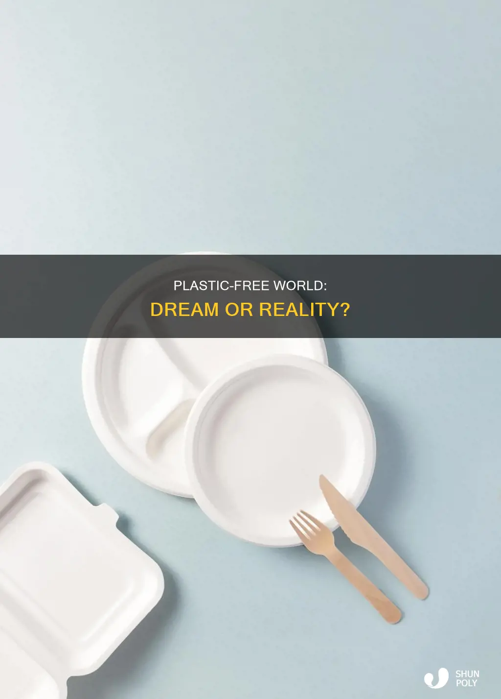 is plastic free world possible or not