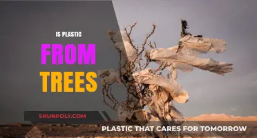 Unveiling the Truth: Is Plastic Really Derived from Trees?