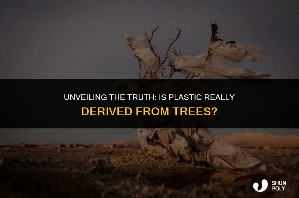 is plastic from trees