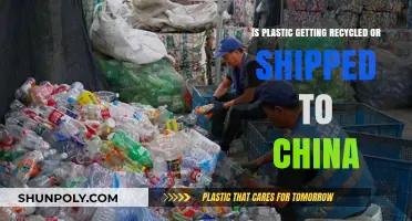 Plastic Recycling Reality: Shipped to China or Truly Recycled?