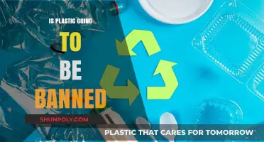 The Plastic Ban: Will it Happen?
