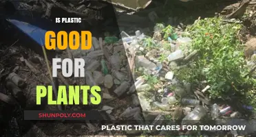 Exploring the Effects of Plastic on Plant Health and Growth
