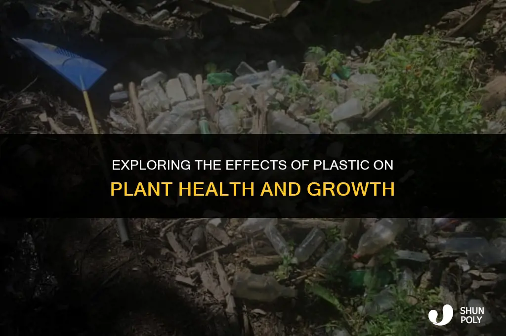 is plastic good for plants
