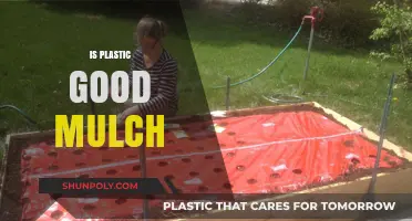 Exploring the Pros and Cons: Is Plastic Mulch a Garden's Best Friend?
