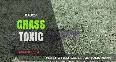 Unveiling the Truth: Is Plastic Grass Toxic to Our Health and Environment?