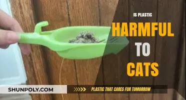 The Hidden Dangers of Plastic: Protecting Your Feline Friends