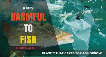 The Impact of Plastic Pollution on Aquatic Life: A Critical Look