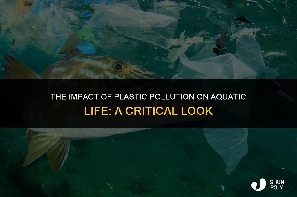 is plastic harmful to fish