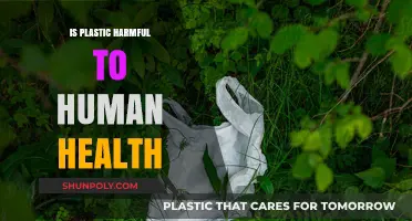 Plastic's Health Impact: What's the Truth?