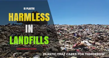 The Hidden Dangers of Plastic in Landfills: A Critical Look