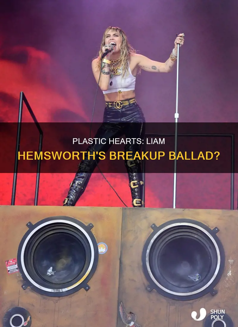 is plastic hearts about liam hemsworth